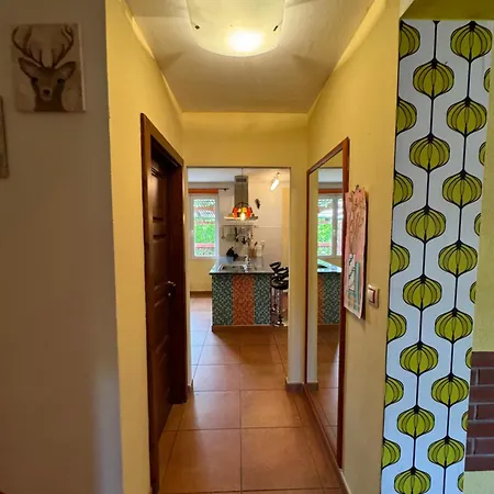 Villa Domov Pro 8 Hostu Ve Meste *